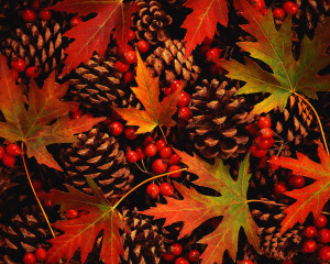 Autumn Leaves, Berries and Pinecones ca. 1994